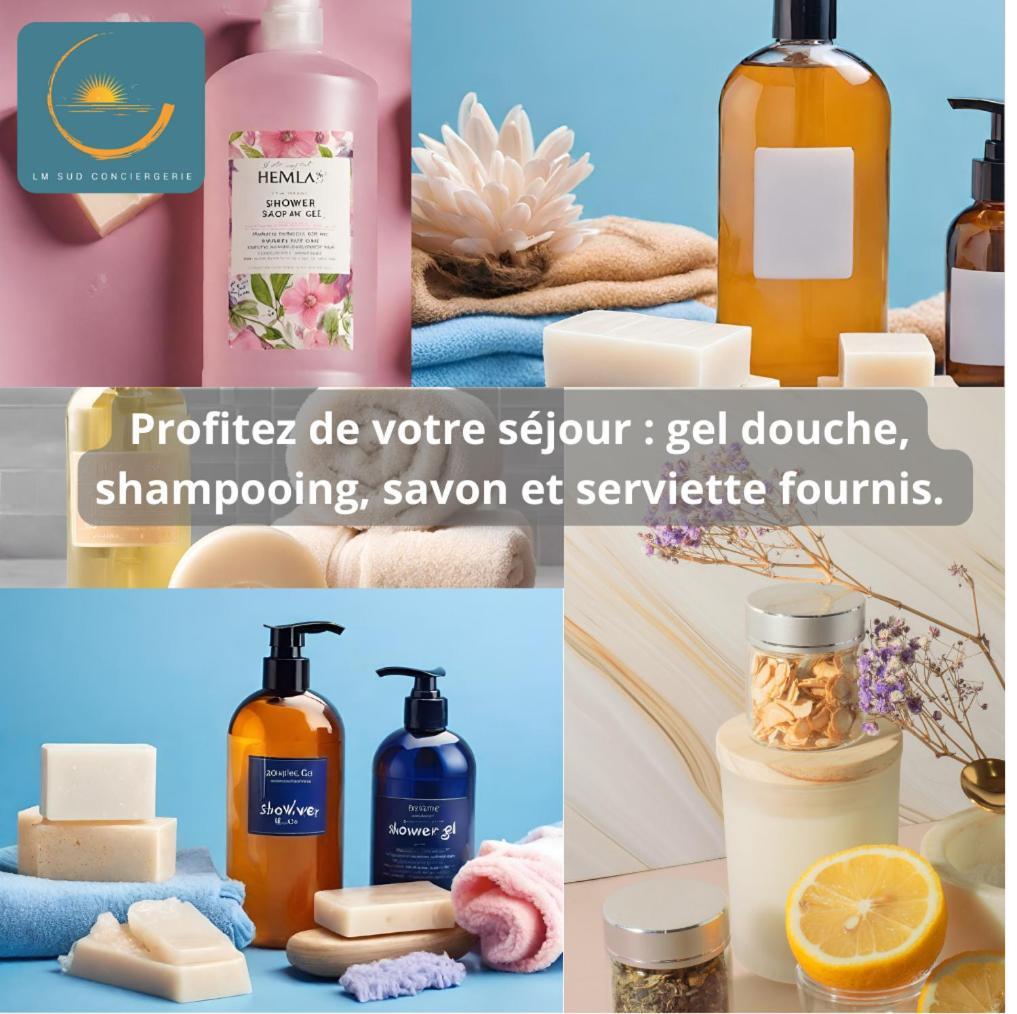 * F3 Haussmannien, Centre-Ville, 4 Pers, Wifi * Montpellier Luaran gambar